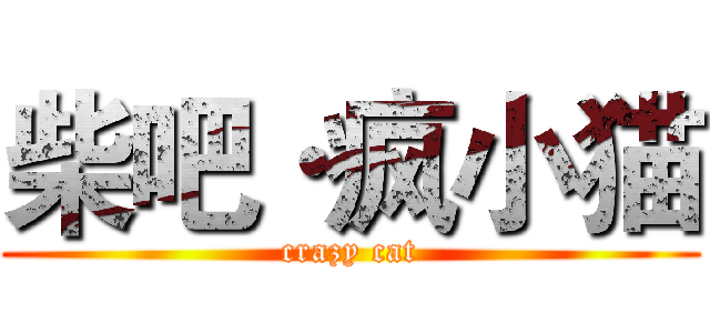 柴吧·疯小猫 (crazy cat)