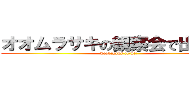 オオムラサキの観察会で出会った (Liobagrus reinii)