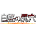 白昼の尻穴 (Japanese Anal Fuck)