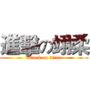 進擊の翊柔 (attack on titan)