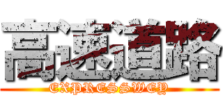 高速道路 (EXPRESSWEY)
