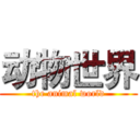 动物世界 (the animal world)