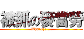 被抓の麥當勞 (What the ...)