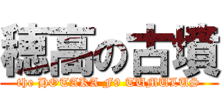 穂高の古墳 (the HOTAKA F9 TUMULUS)