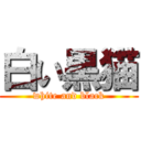 白い黒猫 (white and black)