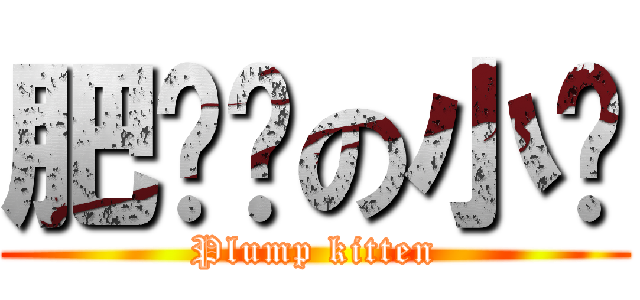 肥嘟嘟の小貓 (Plump kitten)