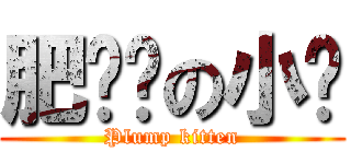 肥嘟嘟の小貓 (Plump kitten)