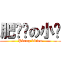 肥嘟嘟の小貓 (Plump kitten)