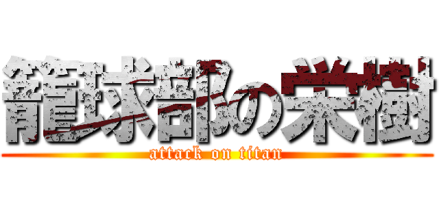 籠球部の栄樹 (attack on titan)