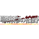 蕁麻疹の柏野 (Kashino of urticaria)