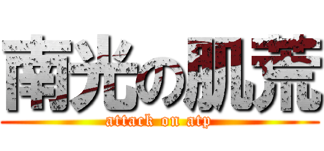 南光の肌荒 (attack on atp)