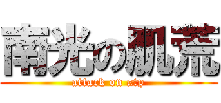 南光の肌荒 (attack on atp)