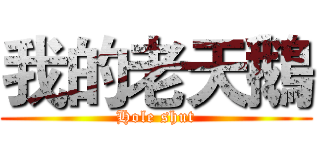 我的老天鵝 (Hole shut)