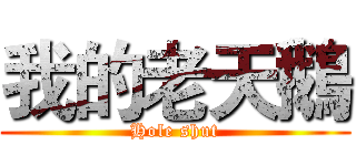 我的老天鵝 (Hole shut)