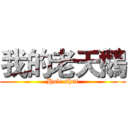 我的老天鵝 (Hole shut)