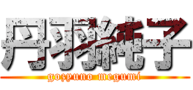 丹羽純子 (gozyuno megumi)