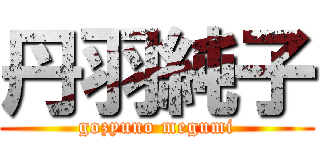 丹羽純子 (gozyuno megumi)