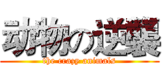 动物の逆襲 (the crazy animals)