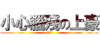 小心腦殘の上豪 (紙糊腦)