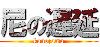 尼の遅延 (konozama)