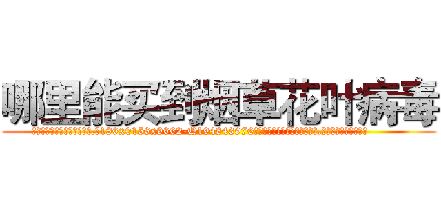 哪里能买到烟草花叶病毒 (哪里能买到烟草花叶病毒【电.话186x0156x9662-Q194843976林氏药业】我们做的是长期生意,靠的是老客户长期支持
参考消息网2月20日报道 韩媒称，“剩女多、离婚率高的城市，房价一定会上涨。”这是中国经济学家金岩石2016年12月参加在上海举行的房地产相关论坛时说的话。
)