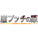 崖プッチの原 (attack on titan)