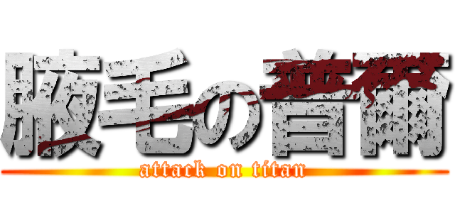 腋毛の普爾 (attack on titan)