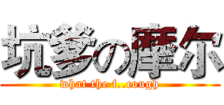 坑爹の摩尔 (what the f..cough)