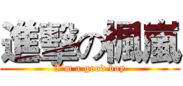 進擊の楓嵐 (I'm a good boy)