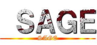  ＳＡＧＥ (SAGE)