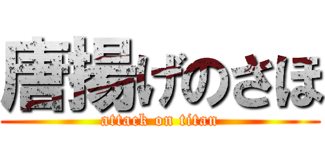 唐揚げのさほ (attack on titan)