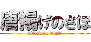 唐揚げのさほ (attack on titan)