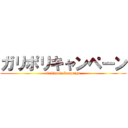 ガリポリキャンペーン (Gallipoli Campaign)