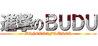 進撃のＢＵＤＵ (MINECRAFT USER)