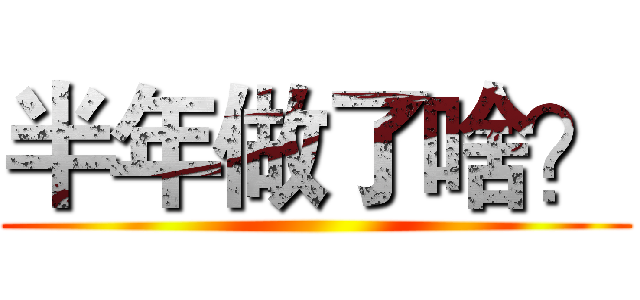 半年做了啥？ ()