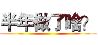 半年做了啥？ ()