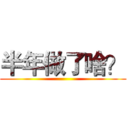 半年做了啥？ ()