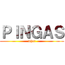 ＰＩＮＧＡＳ (what)