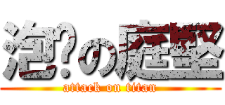 泡麵の庭堅 (attack on titan)