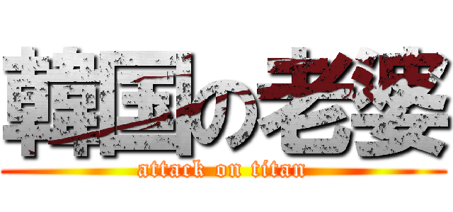 韓国の老婆 (attack on titan)