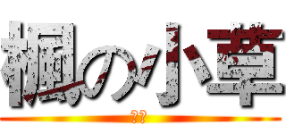 楓の小草 (楓夜)