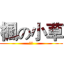 楓の小草 (楓夜)