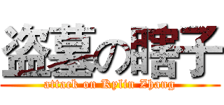 盗墓の瞎子 (attack on Kylin Zhang)