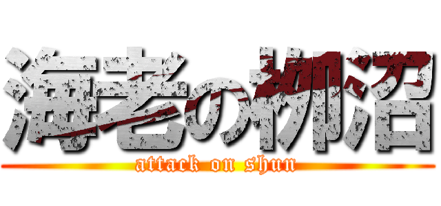 海老の栁沼 (attack on shun)