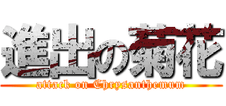 進出の菊花 (attack on Chrysanthemum)