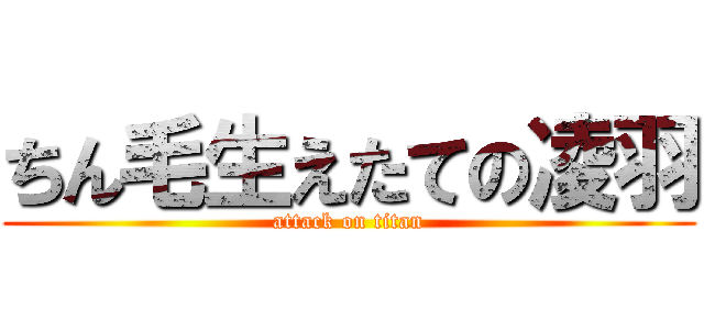 ちん毛生えたての凌羽 (attack on titan)