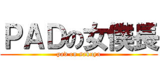 ＰＡＤの女僕長 (pad on sakuya)