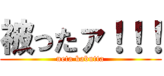 被ったァ！！！ (neta kabutta)