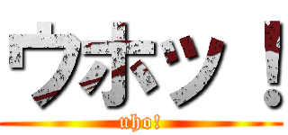 ウホッ！ (uho!)
