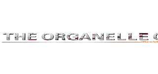 ＴＨＥ ＯＲＧＡＮＥＬＬＥ ＯＦ Ｃ．Ｅ．Ｌ．Ｌ．Ｓ． (Viann&Cyril)